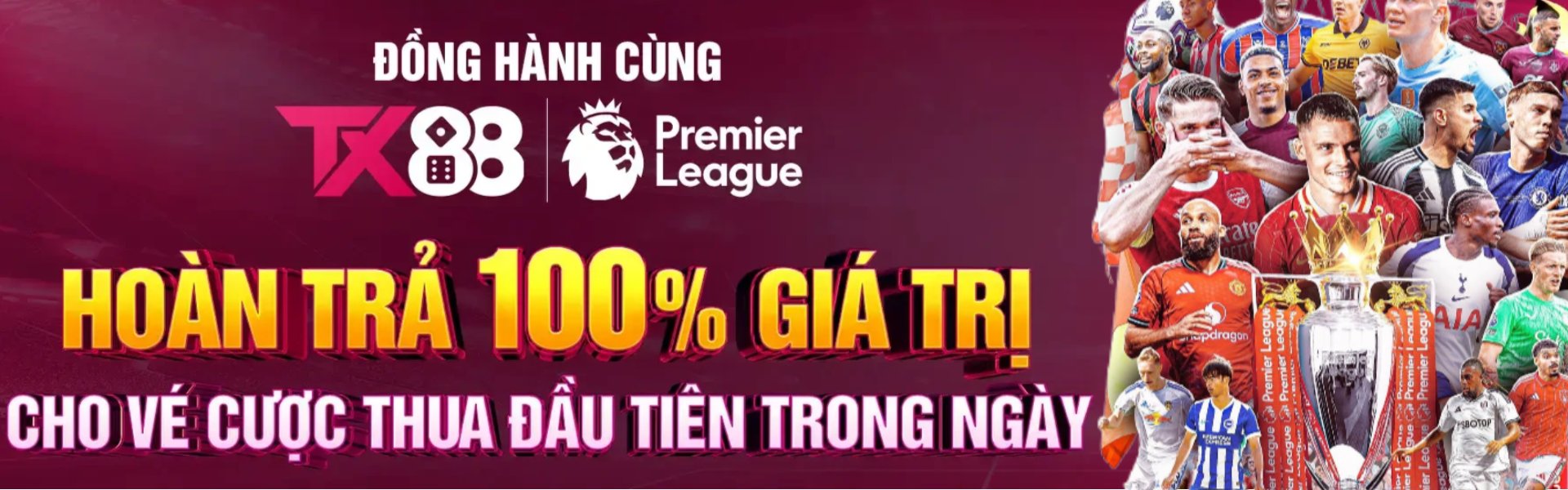 baner-tx88-1