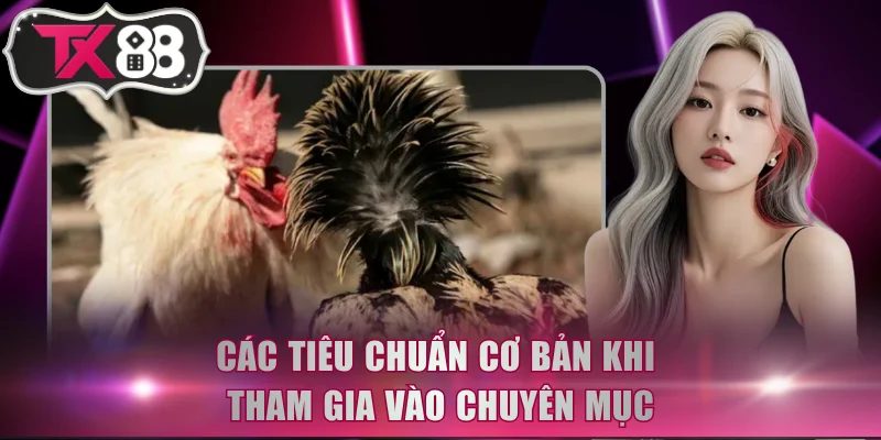 Các tiêu chuẩn cơ bản khi tham gia vào chuyên mục