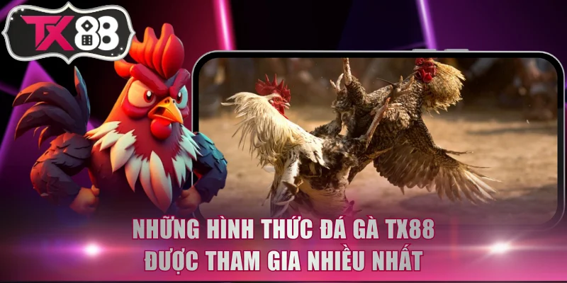Những hình thức đá gà TX88 được tham gia nhiều nhất